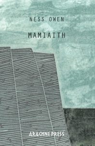 REVIEW: Mamiaith by Ness Owen